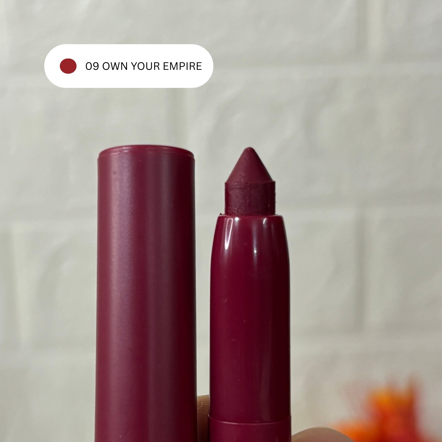 BRIBRI Superstay Ink Crayon Lipstick - 8H Matte Precision